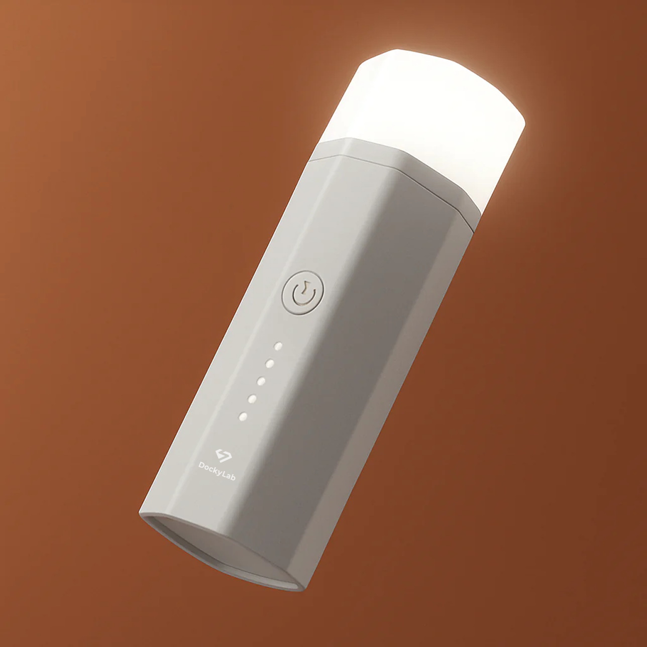 DockyLab P10