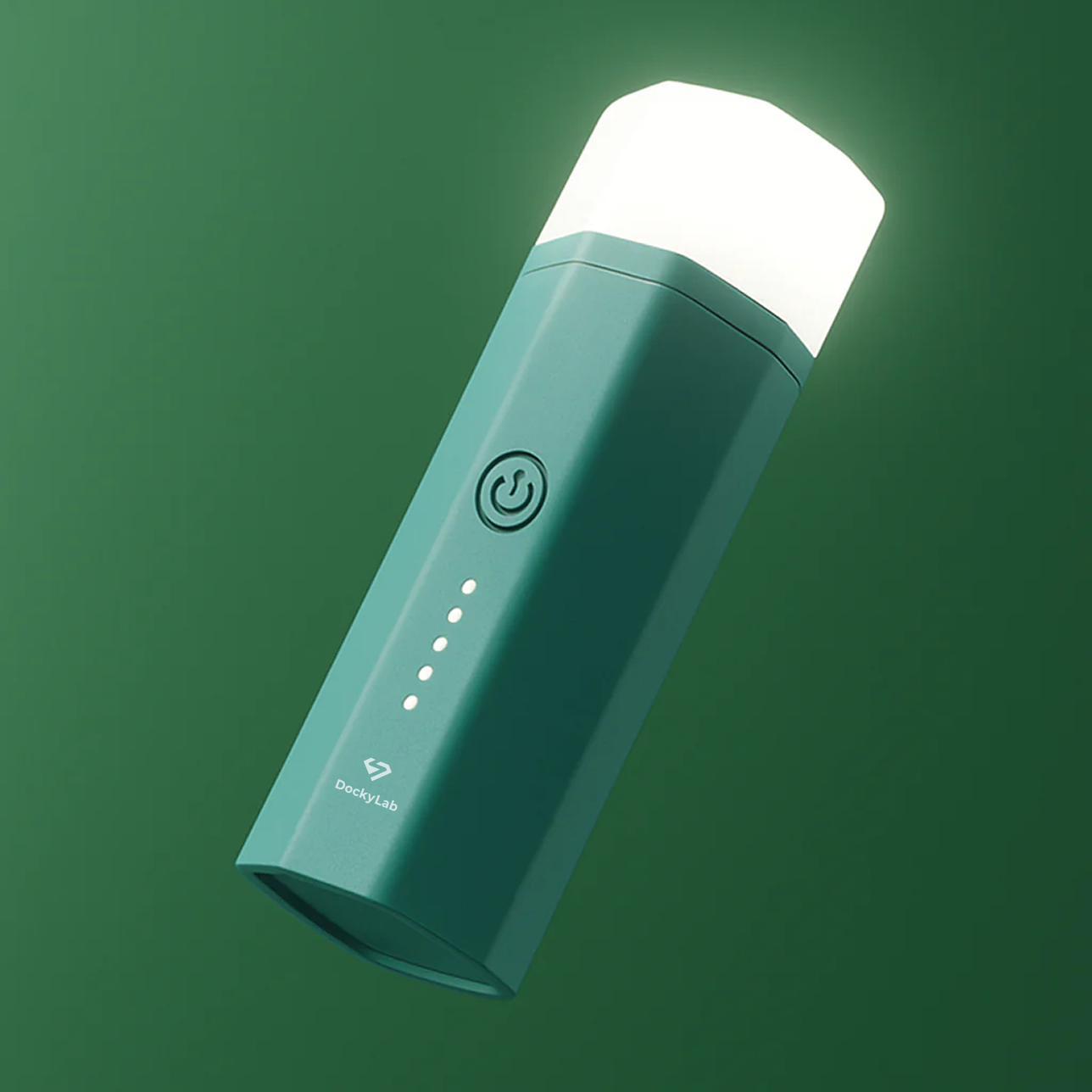 DockyLab P10