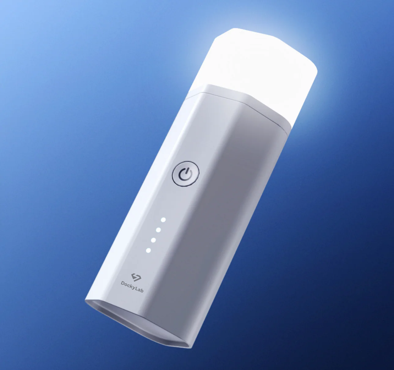 DockyLab P10